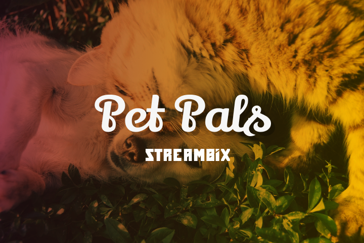 Pet Pals